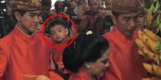 Menggemaskan! Jan Ethes bertingkah lucu saat lihat Jokowi memasang Bleketepe
