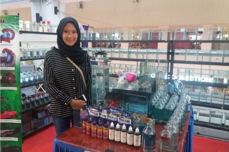 Bandung Merdeka Com Bisnis Ikan Cupang Hijabers Cantik Ini