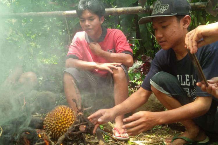 Download 540 Koleksi Gambar Durian Bakar Keren Gratis HD