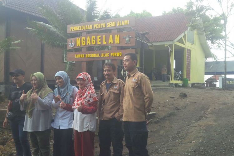 Banyuwangi Merdeka Com Taman Nasional Alas Purwo