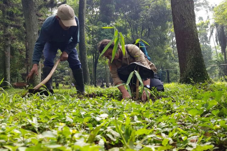 manfaat melindungi hewan langka Bandung Merdeka com Bandung Zoo Kini Miliki Dua Jenis 