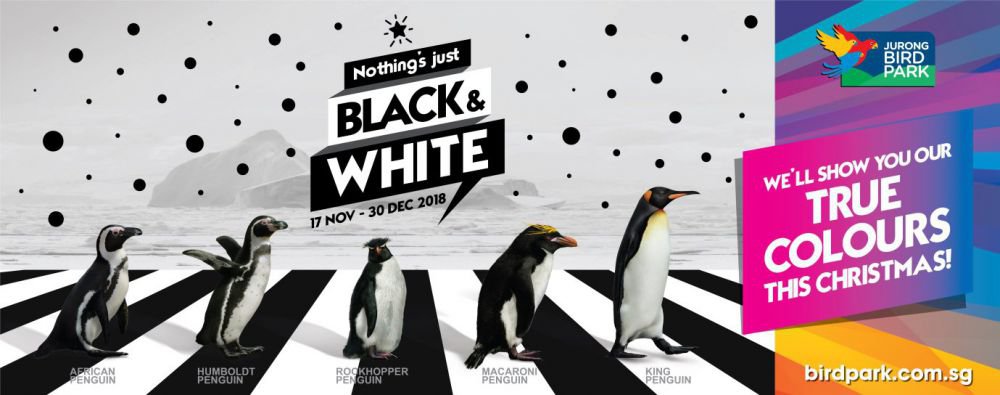 © 2018 KapanLagiKeSingapura.com © 2018 KapanLagiKeSingapura.com