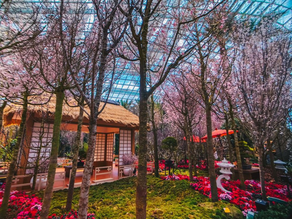 ©Singapore Tourism Board ©Singapore Tourism Board