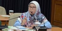 'Indonesia Terserah' Muncul karena Pemerintah Plin-Plan soal PSBB