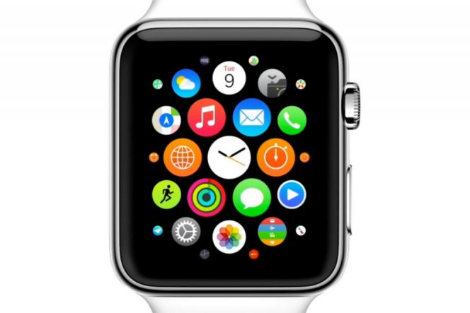 Apple Watch Home Screen