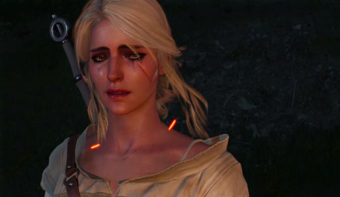 Karakter yang ada di games The Witcher 3: Wild Hunt.