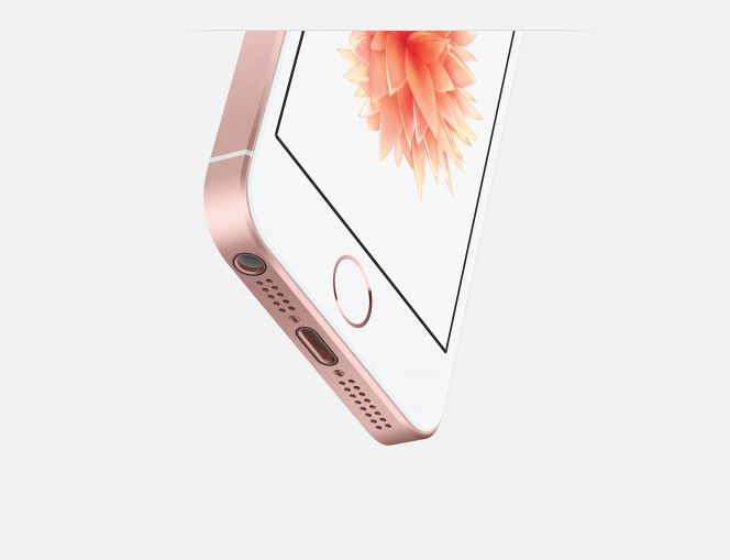 Di sisi piranti keras, pertama adalah sektor kamera. iPhone 5s masih mengusung kamera seluas 8MP (1080p), sedangkan kamera milik iPhone SE adalah 12MP (2060p).