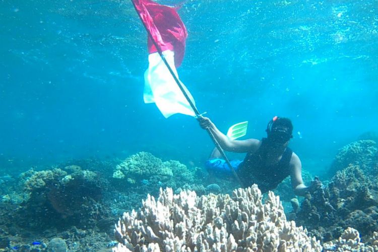 Banyuwangi Merdeka Com Foto Indahnya Bawah Laut Grand Banyuwangi Merdeka Com Foto Indahnya Bawah Laut Grand