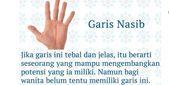 Yuk Membaca Makna 6 Garis Tangan Manusia Sooperboy Com