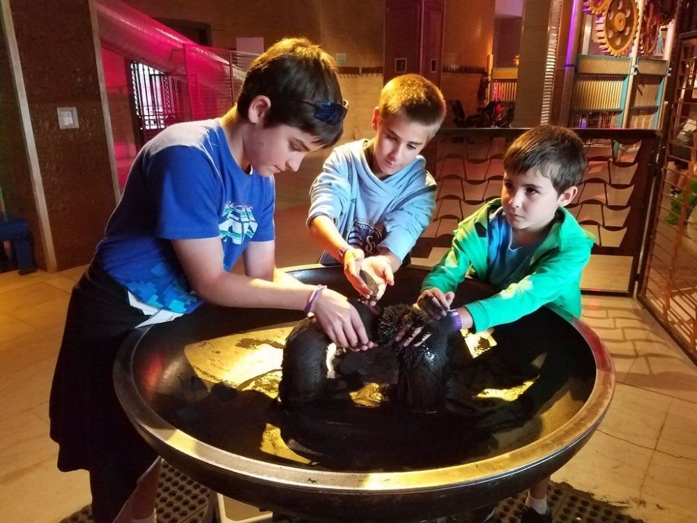 9 things to do in kansas city with kids that are full of joy trstdly