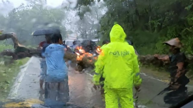 Pohon Tumbang Lumpuhkan Jalan Nasional