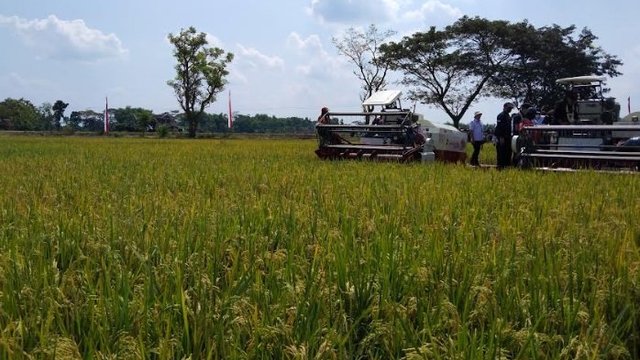 Pembangunan Infrastruktur di DIY Berdampak Luas Terhadap Pertanian