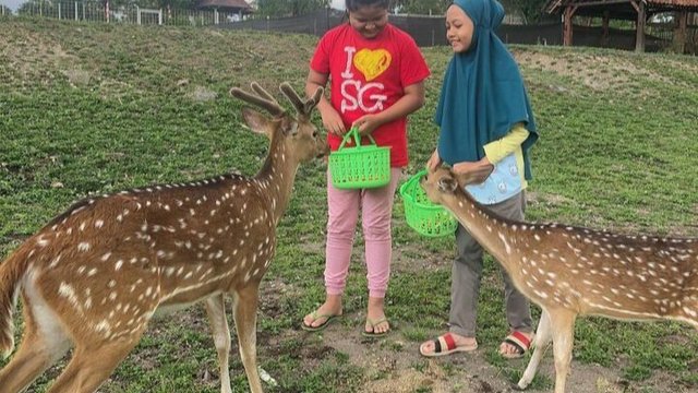 Nara Kupu Jogja Eduwisata di Kaki Gunung Merapi, Melepas Penat Sembari Belajar