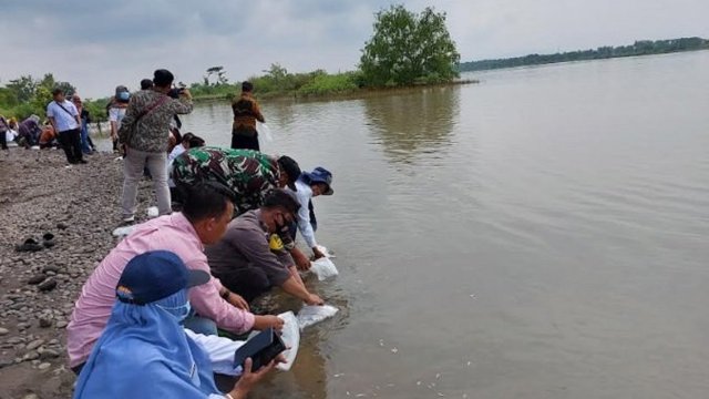 Ribuan Benih Ikan Ditebar dalam Jogokaliku Sipatin
