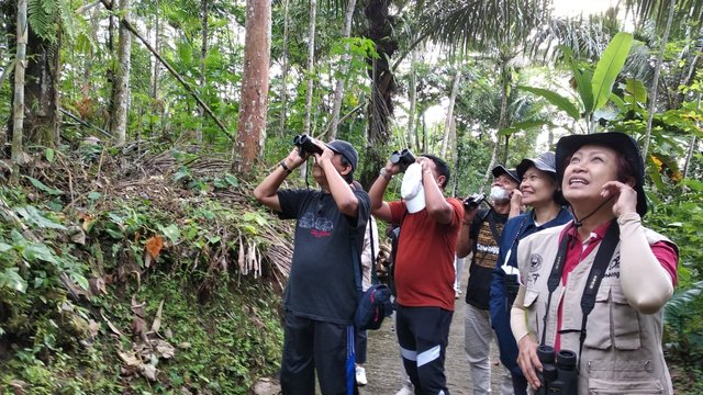 Wisata Alternatif, Menikmati Kicauan Burung Langka di Jatimulyo Kulonprogo
