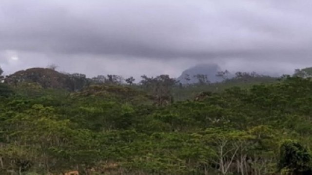Misteri Hari Sabtu, Menelusuri Jalur Gaib di Alas Bonggan