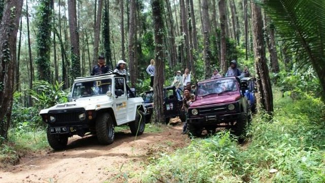 4 Proses Harus Dilewati untuk Pengukuhan Kawasan Hutan