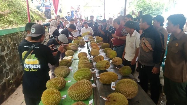 Prumben Mbelah Duren Angkat Potensi Lokal