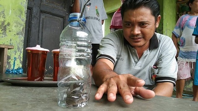 Ngeri! Ari Temukan Anakan King Kobra di Rumahnya