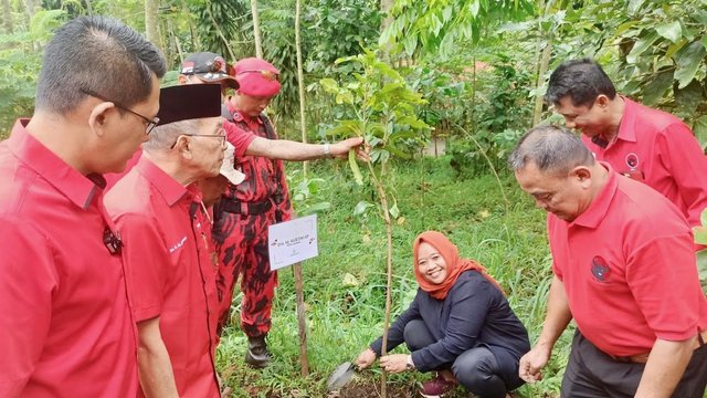 Bareng PDIP Sleman, Kustini Tanami Pohon Tankaman Natural Park 