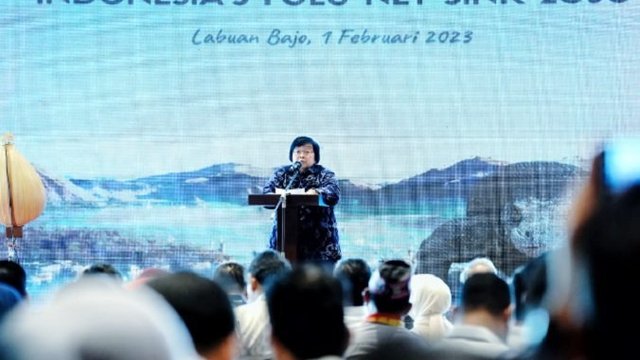 Keberhasilan FOLU Net Sink 2030, Kerja Bersama Semua Pihak