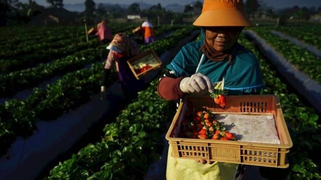 Ditengah Kekhawatiran Resesi, Bisnis UMKM Tetap Melaju dan Tangguh