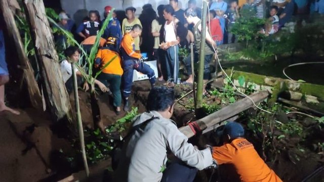 Tak Terkendali, Sapi Betina Terperosok Sumur