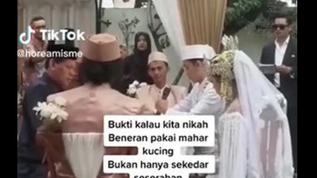 Unik, Pengantin Berikan Mahar Kucing Jadi Perbincangan Warganet