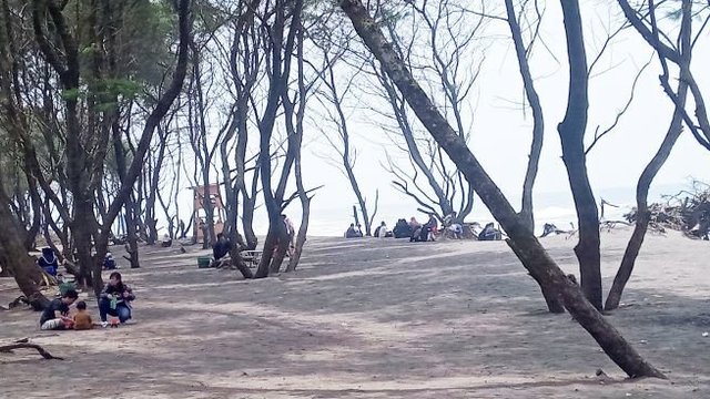 Sektor Wisata Mulai Menggeliat, tapi Belum Sepenuhnya Pulih