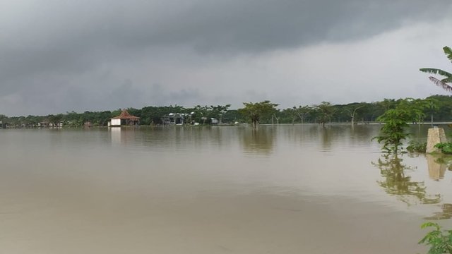 Penampakan Sawah di Sragen Seperti Danau, Petani Terancam Gagal Panen