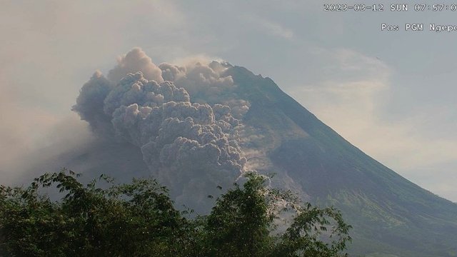 BPPTKG Ingatkan, Kali Ini Energi Awan Panas Gunung Merapi Terbesar