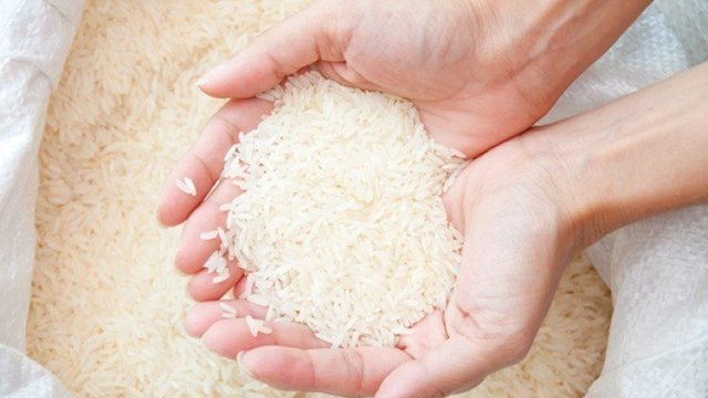 Masuk Panen Raya, Badan Pangan Nasional Gerak Cepat Cegah Harga Gabah Petani Anjlok