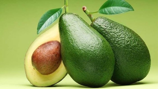 Ubah Lahan Gersang, Warga Desa Sanggang Nikmati Hasil Panen Buah