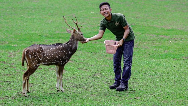 Sambut Ramadan, Nara Kupu Jogja Adakan 'Ngabuburit Seru Bareng Rusa'