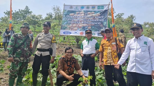 Perhoti dan Peragi Dampingi Tanam Kelengkeng