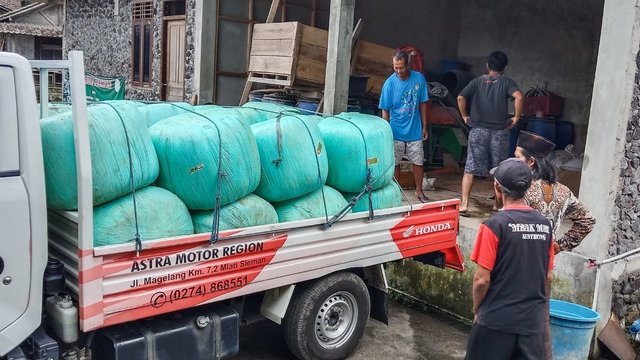 Astra Motor Serahkan 4 Ton Silase untuk Peternak Terdampak Erupsi Merapi