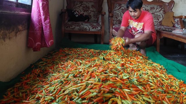 Pemkab Temanggung Pastikan Ketersediaan Makanan Pokok dalam Posisi Aman
