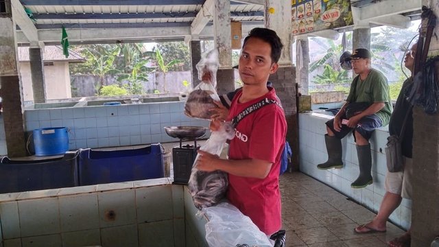 Ikan Langsung Digoreng, Bonus Lalapan dan Sambal di TPI Purbalingga