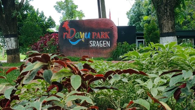 Lebaran di Sragen, Ini Lokasi Tepat untuk Healing dan Berburu Kuliner