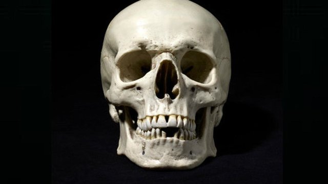 Misteri Temuan 12 Potongan Tangan Manusia Terungkap