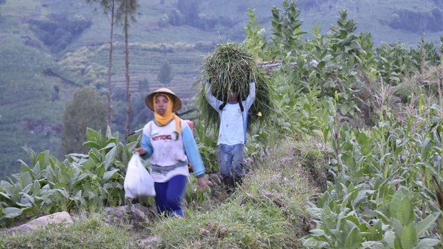 RUU Kesehatan Sejajarkan Rokok dengan Narkotika, Potensi Kriminalisasi Konsumen