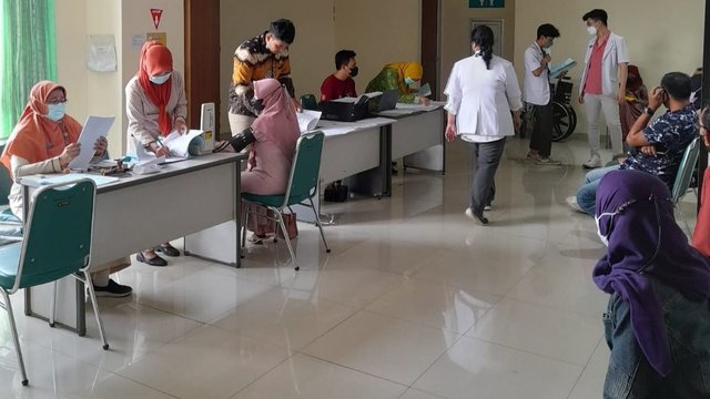 Fenomena Bacaleg 'Kutu Loncat' Marak di Pati