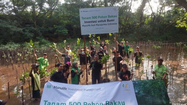 Peringati Hari Bumi, Manulife Aset Manajemen Indonesia Tanam Mangrove