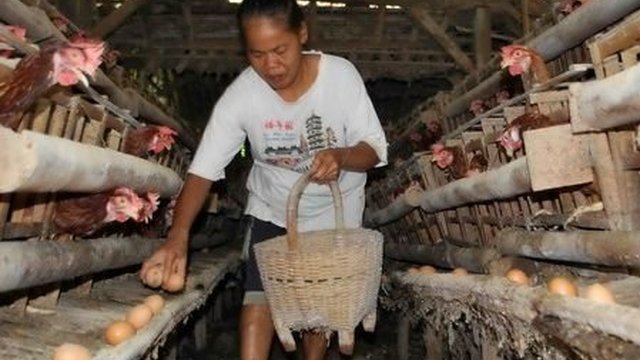 Harga Telur Melambung Tinggi, Tembus Rp 38.000 per Kg