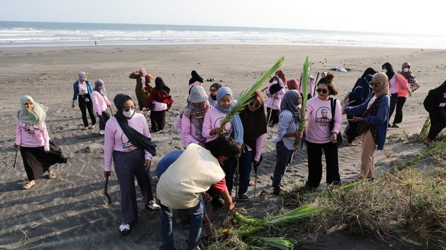 Perempuan Milenial Pendukung Ganjar Tanam Pandan Laut dan Bersihkan Pantai di Bantul