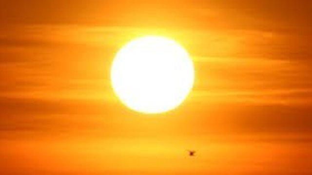 Cegah Krisis Air, Kementan Bakal Bentuk Gugus Tugas Hadapi El Nino