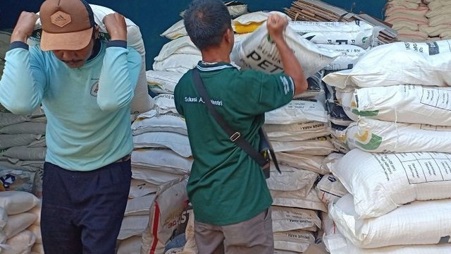 Petani Wonogiri 'Wadul' Bupati Kesulitan Pupuk