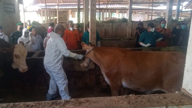 DKP3 Segarkan Julehan Sebelum beraksi di Idul Adha