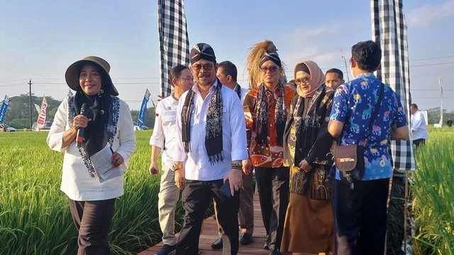 Mentan Dorong Pertanian RI Tahan Dampak El Nino