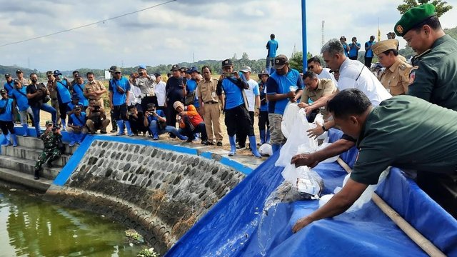 Wabup Klaten Tebar Benih Ikan di Rawa Jombor